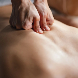 Five Element Meridian Treatment $108 (U.P. $199)